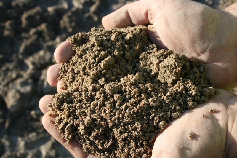 sable calcaire, sable, granulats